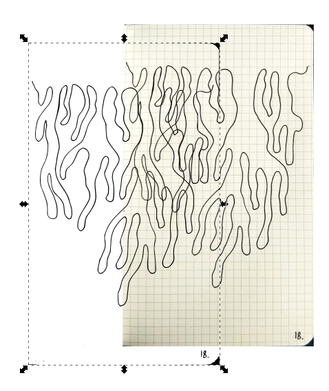 Making NETWORK with Inkscape